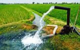 مدیریت توزیع آب در حوضه های آبریز خوزستان به تشکلهای صنفی کشاورزی واگذار شد