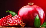 شب یلدا و همدلی زمستانی شب یلدا و همدلی زمستانی