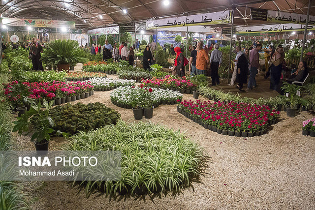برگزاری نمایشگاه گل و گیاهان دارویی در اهواز