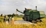 کشاورزان آرامش خود را حفظ کنند / این بخشنامه دهها هزار کشاورز خوزستانی را نابود می کند / در حال پیگیری مشکل شلتوک کاران هستیم