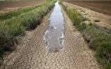 وضعیت آب در حوضه کرخه بحرانی است / برای نجات مزارع کشاورزان پایین دست، فورا آب را رهاسازی کنید / کشاورزان حوضه رودخانه کرخه، شکایات گسترده دارند