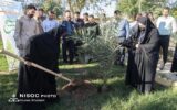 برگزاری مراسم درختكاری از سوی بسیج شهید تندگویان به مناسبت هفته بسیج