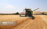 خوزستان آماده برداشت محصولات پاییزه است