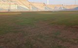 سوختن چمن غدیر اهواز؛ معما و هزینه گزاف!